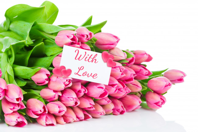 Обои картинки фото цветы, тюльпаны, букет, подарок