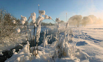 Картинка природа зима снег