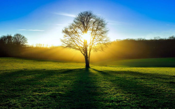 Картинка природа восходы закаты дерево рассвет солнце лучи поле небо