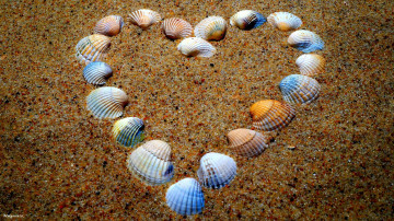 обоя разное, ракушки,  кораллы,  декоративные и spa-камни, галька, сердце