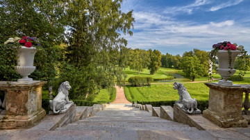 Картинка природа парк павловский россия санкт-петербург