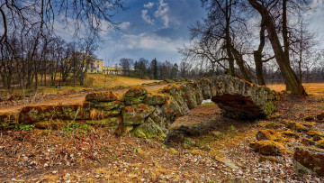 Картинка природа парк павловский санкт-петербург россия