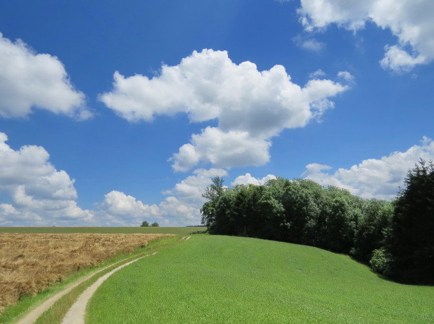 Обои картинки фото природа, дороги, дорога, облака, поле