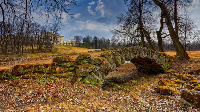 Обои картинки фото природа, парк, павловский, санкт-петербург, россия