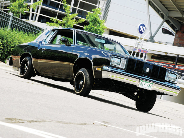 Обои картинки фото 1979, oldsmobile, cutlass, supreme, автомобили