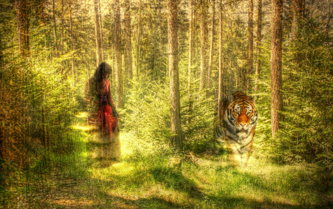 Обои картинки фото разное, компьютерный, дизайн, лес, девушка, тигр