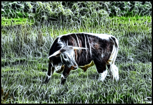 Обои картинки фото 3д, графика, animals, животные, зеленый, фрактал, корова