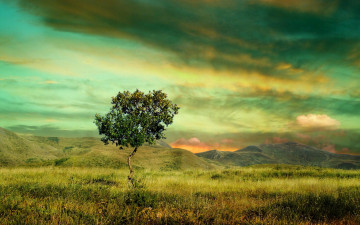 Картинка природа деревья горы поле дерево тучи