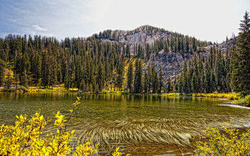 Картинка природа реки озера озеро горы лес водоросли