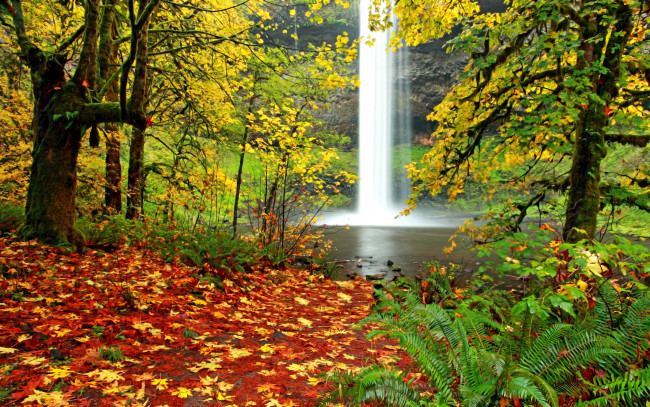 Обои картинки фото природа, водопады, водопад, река, листва, осень, лес