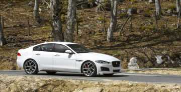 Картинка автомобили jaguar 2015г xe s