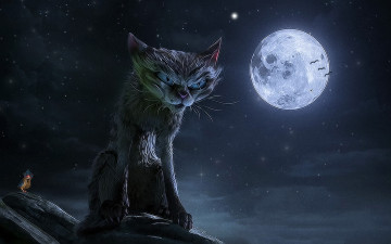 Картинка рисованное животные птица фон луна кот
