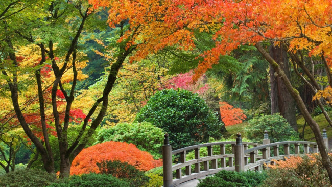 Обои картинки фото природа, парк, сад, японский