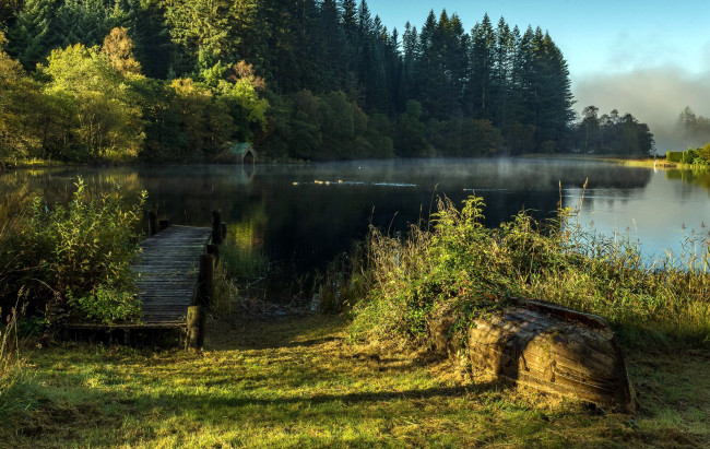 Обои картинки фото природа, реки, озера, утро, туман, мостки, озеро, деревья