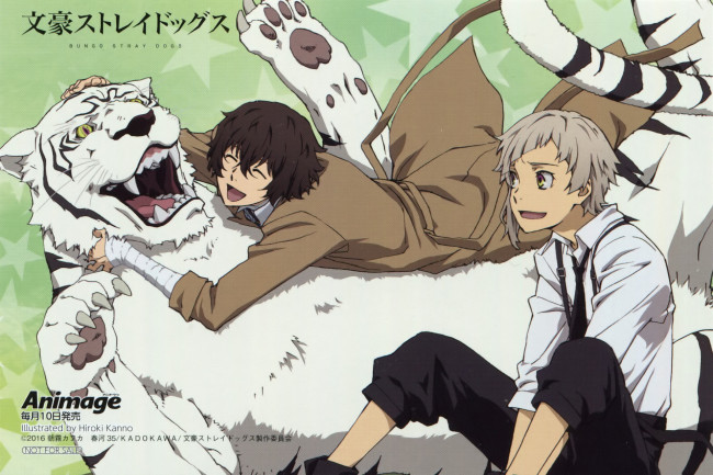 Обои картинки фото аниме, bungou stray dogs, дазай, ацуши, белый, тигр