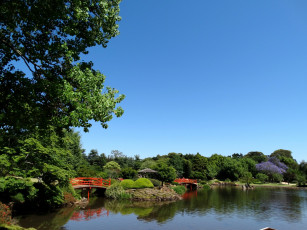 Картинка природа парк садик японский водоем
