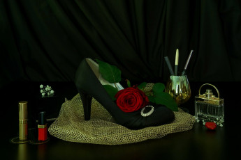 Картинка разное одежда +обувь +текстиль +экипировка роза цветы натюрморт