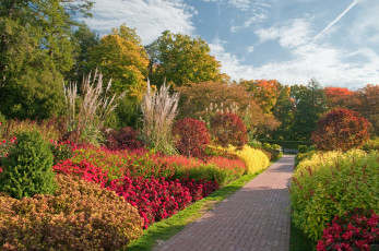 Картинка природа парк аллея кусты цветы