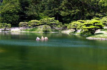Картинка природа парк садик японский водоем