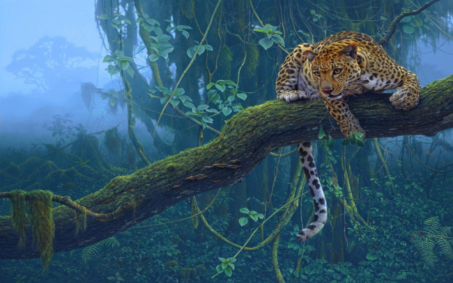 Обои картинки фото животные, леопарды, леопард, лес, дерево