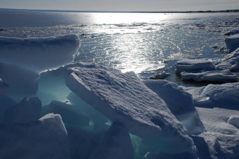 Картинка chaleur bay canada природа айсберги ледники beresford бересфорд канада залив шалёр зима льдины