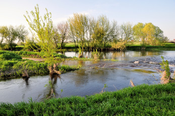 Картинка природа реки озера весна река трава разлив деревья
