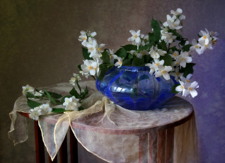 Картинка цветы жасмин ваза