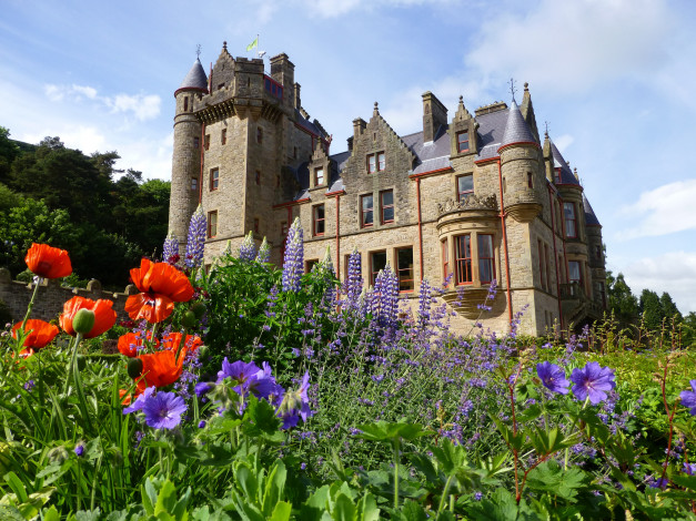 Обои картинки фото belfast castle, города, - дворцы,  замки,  крепости, трава, луг, замок, цветы