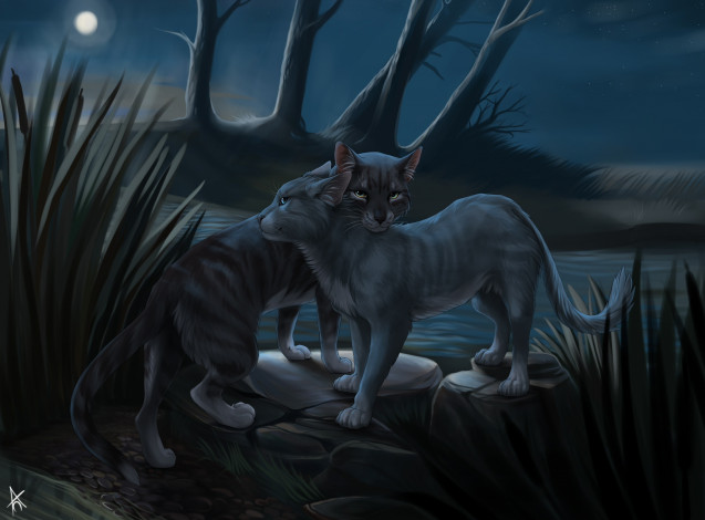 Обои картинки фото рисованные, животные,  коты, река, деревья, коты