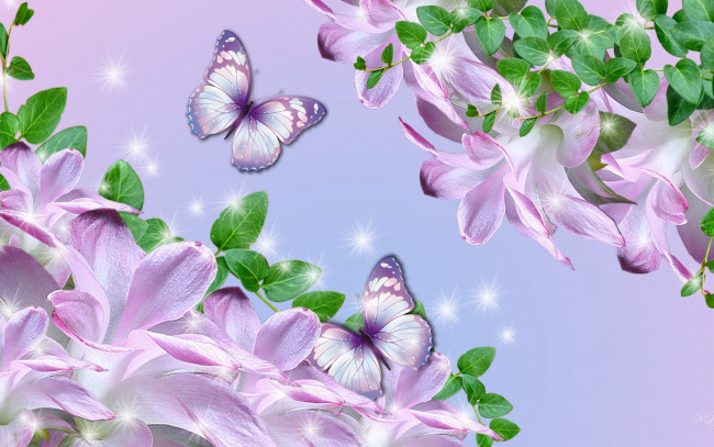 Обои картинки фото разное, компьютерный дизайн, фон, бабочки, цветы