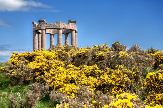 Обои картинки фото stonehaven war memorial,  scotland, города, - памятники,  скульптуры,  арт-объекты, луг, цветы, мемориал