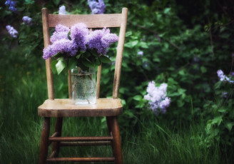 Картинка цветы сирень ваза трава стул