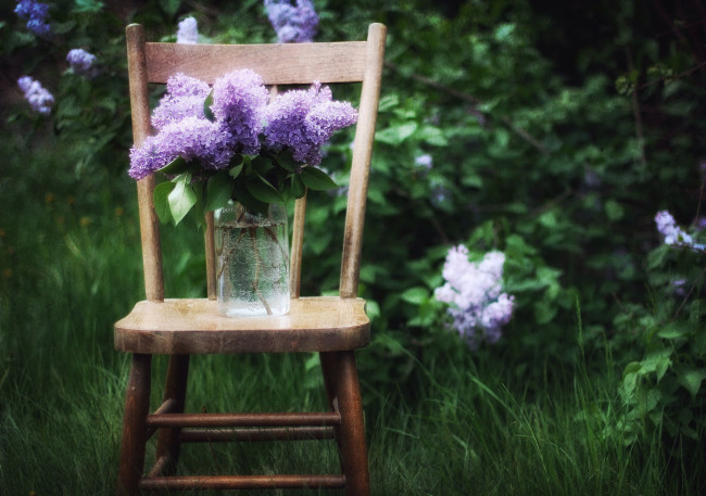Обои картинки фото цветы, сирень, ваза, трава, стул