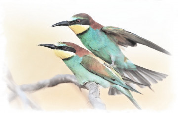 Картинка рисованное животные +птицы зеленые птицы акварель две