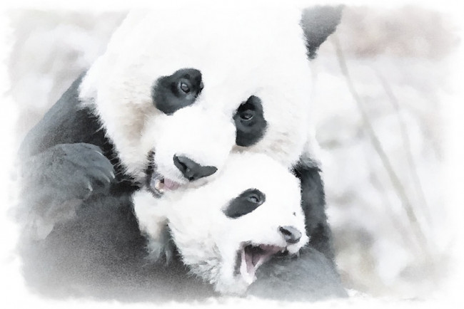 Обои картинки фото рисованное, животные,  панды, панда, с, детенышем, акварель