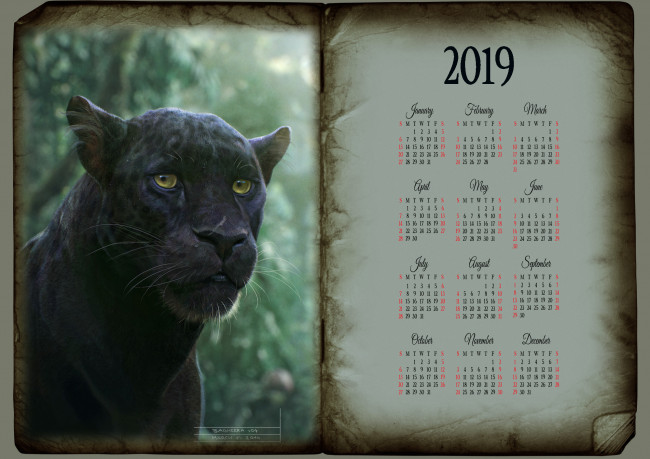 Обои картинки фото календари, рисованные,  векторная графика, черный, морда, животное