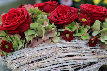 Картинка цветы букеты +композиции розы гортензия хризантемы