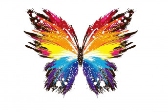 Картинка рисованное животные +бабочки бабочка цвета