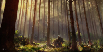 Картинка фэнтези пейзажи лес