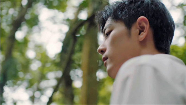 Обои картинки фото мужчины, xiao zhan, актер, лицо, лес