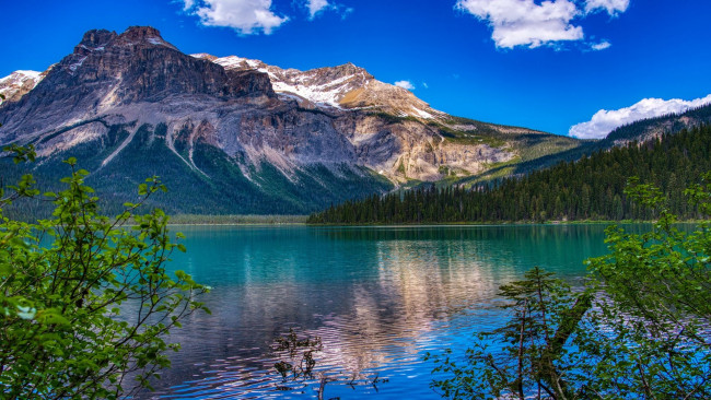 Обои картинки фото emerald lake, yoho np, british columbia, природа, реки, озера, emerald, lake, yoho, np, british, columbia