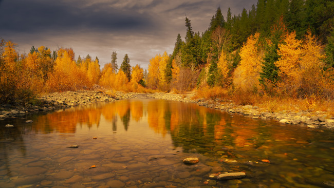 Обои картинки фото природа, лес, осень, деревья, отражение, камни, водоем, берега, краски, осени