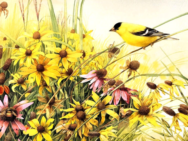 Обои картинки фото рисованное, животные,  птицы, птица, цветы