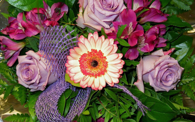 Обои картинки фото цветы, разные вместе, альстромерия, розы, хризантемы