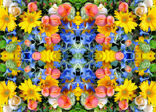 Картинка разное компьютерный дизайн цветы