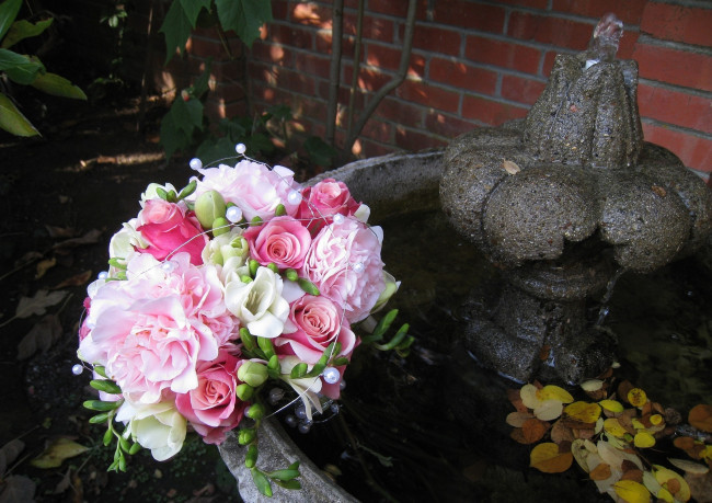 Обои картинки фото цветы, букеты, композиции, пионы, розы, фонтан