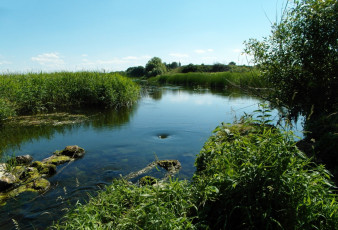 Картинка природа реки озера река берега трава водоворот