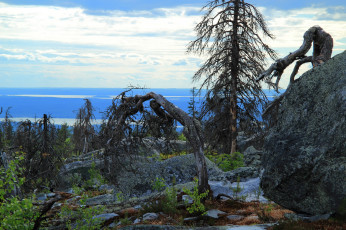 Картинка природа горы бурелом деревья камни скалы