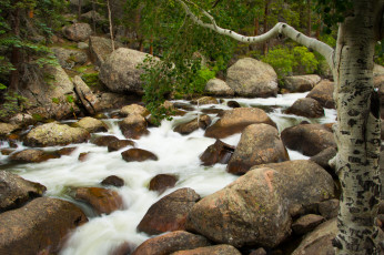 Картинка природа реки озера вода камни поток береза