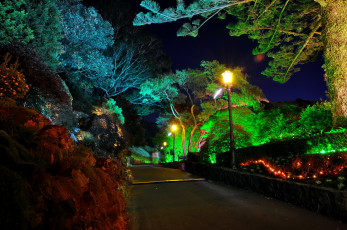 Картинка wellington botanical garden природа парк ночь огни